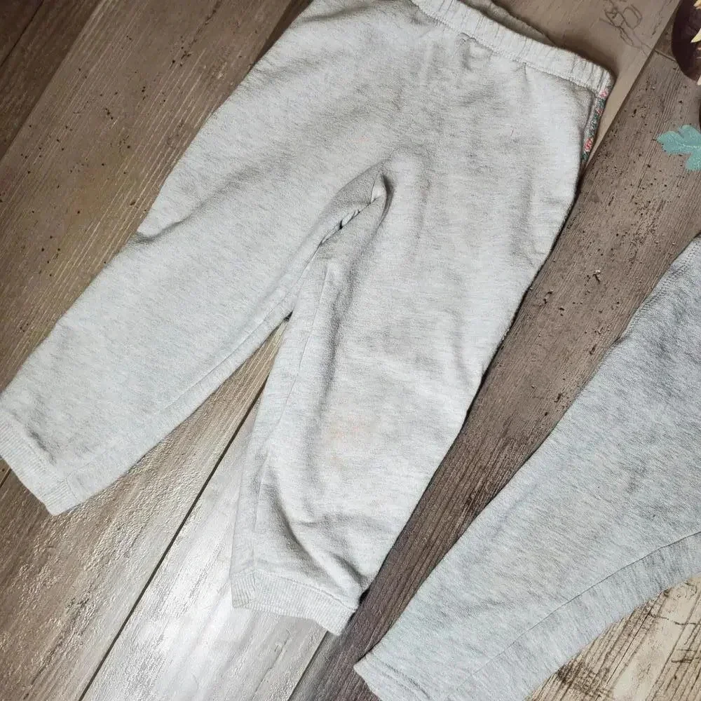 OshKosh B'gosh & Carter's Toddler Girl Gray Sweatpants Joggers Bundle Size 24m